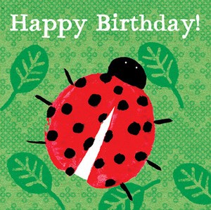 Birthday Lady Beetle