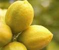 Lemon - organic