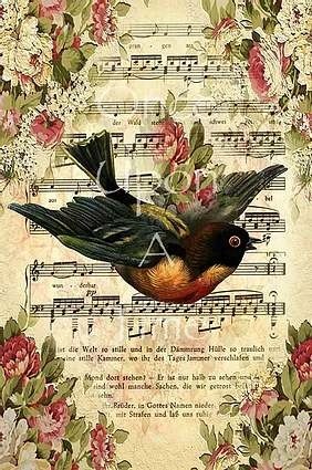 Animalia Series - Bird Song