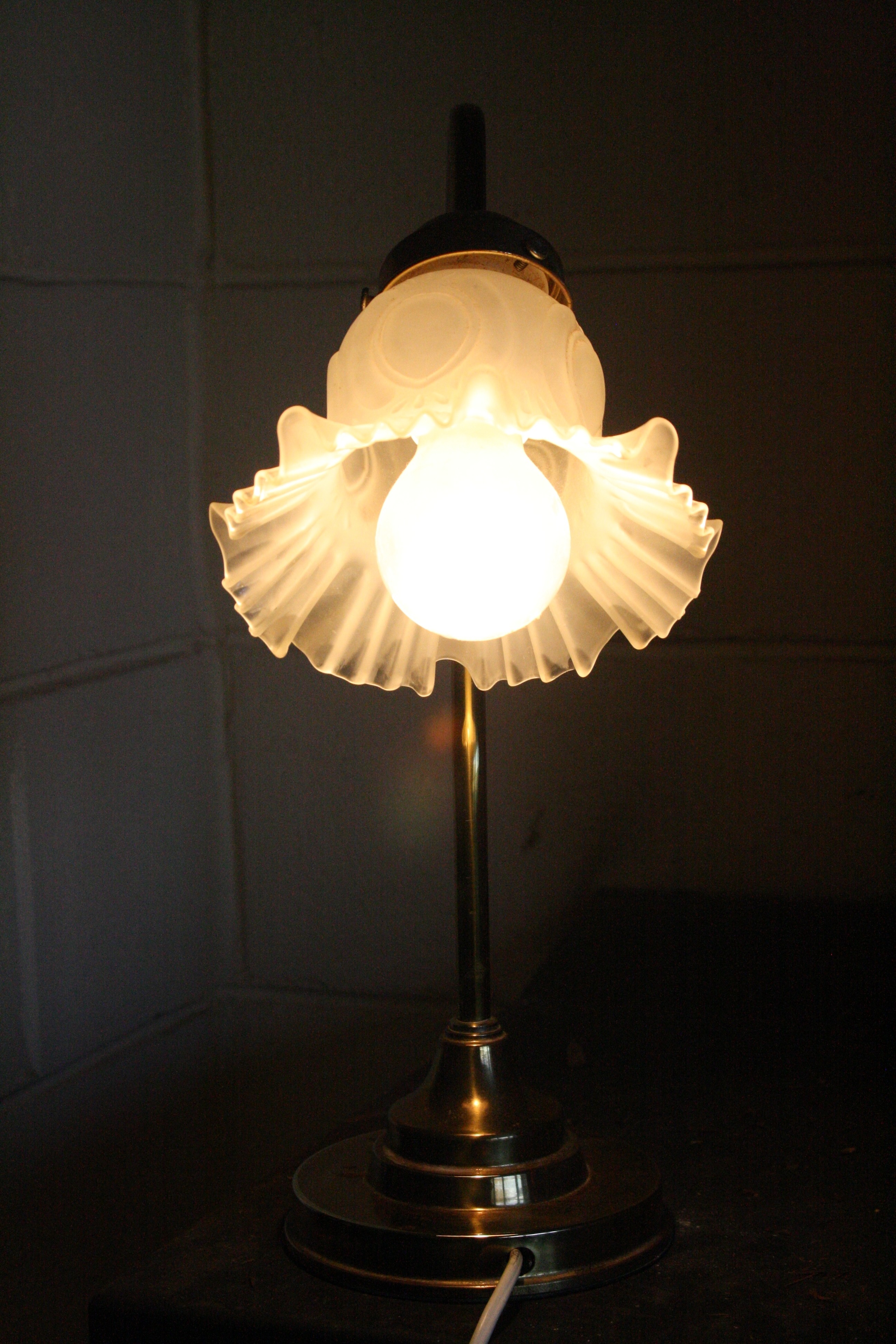 Brass goose neck tulip glass shade