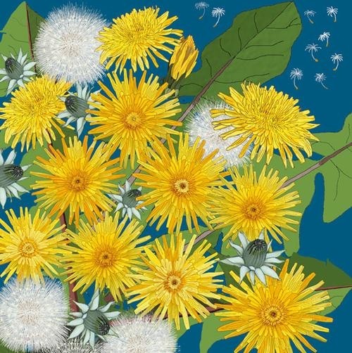 Dandelions and Wishes