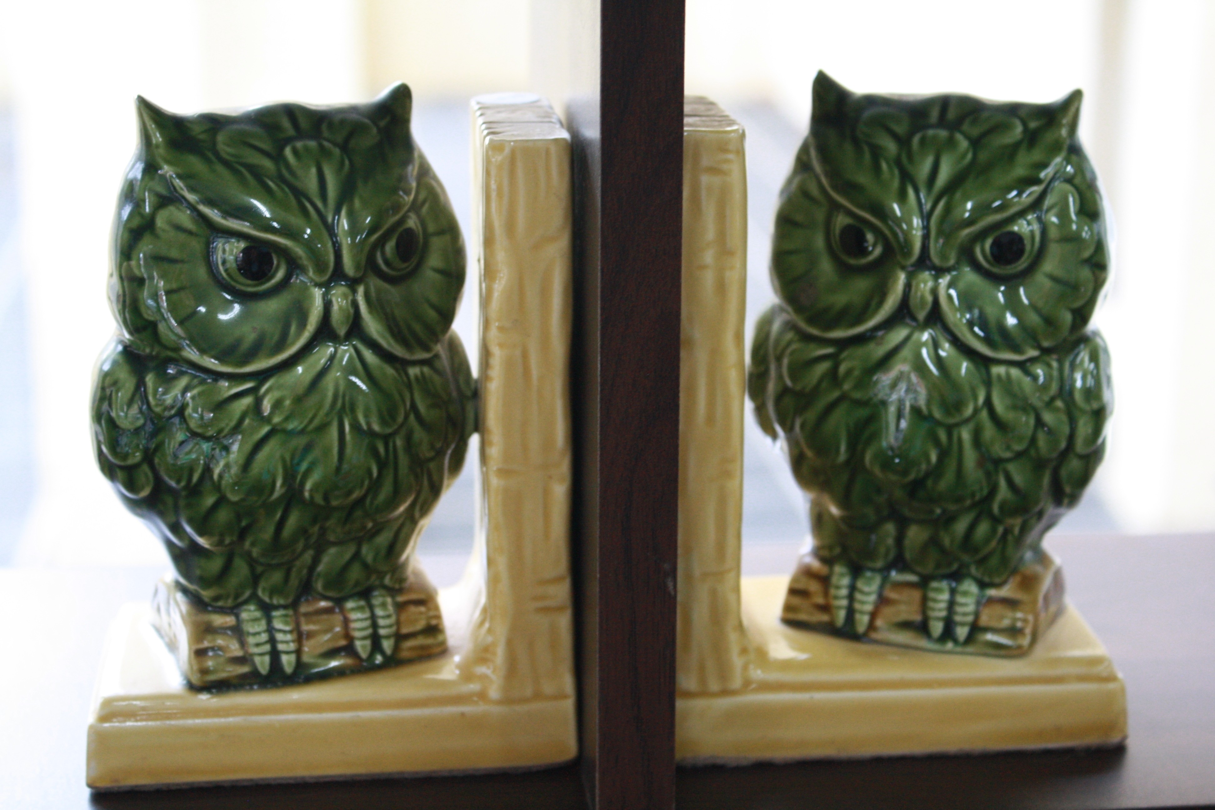 Ceramic Owl  Bookends