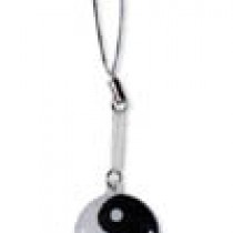 Yin and Yang Cleaner Charm