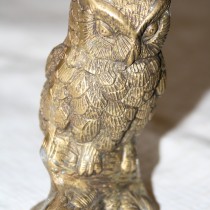 Bronze Owl