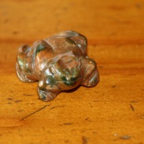 Jasper Frog